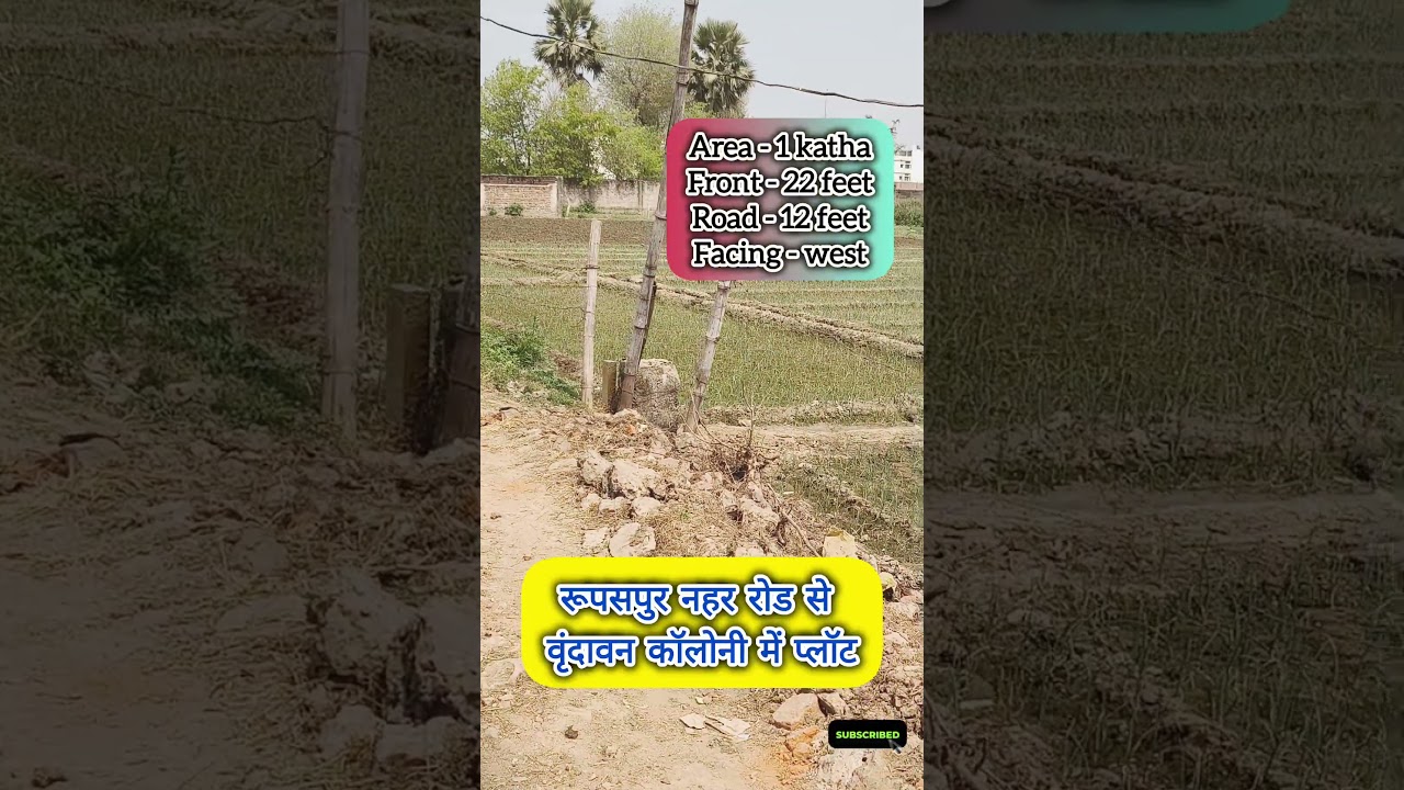 #Plot in Vrindavan Colony from Rupaspur Canal Road || plot in Rupaspur nahar #trending #videovira...