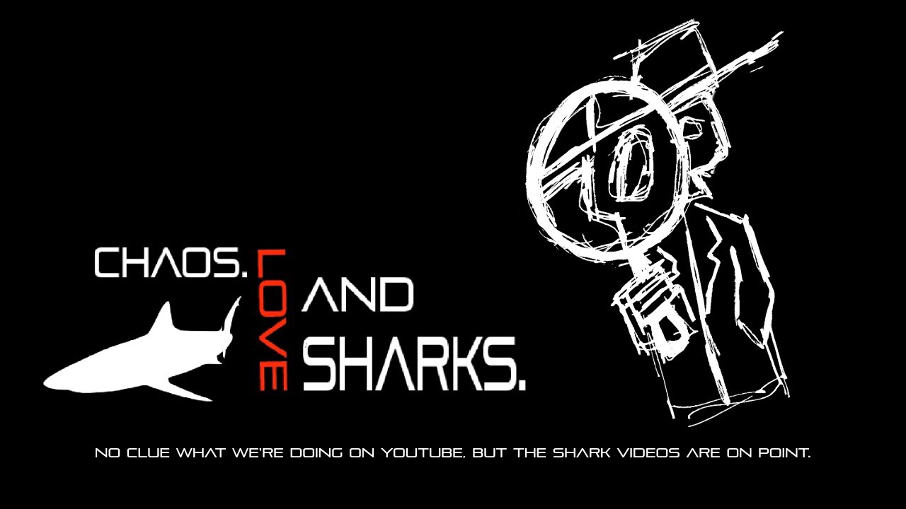 No Clue What We're Doing on YouTube, but the Shark Videos are on Point.