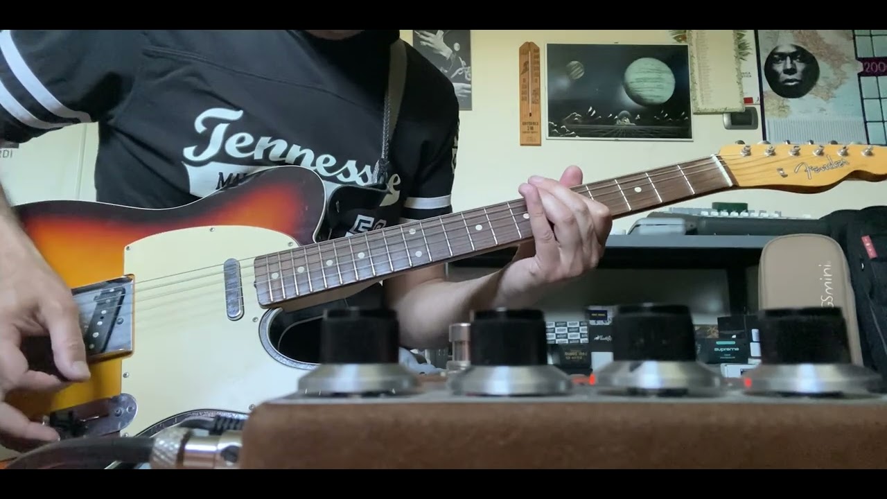 Dumbloid Shin’s Music, Fender De Ville ML Michael Landau