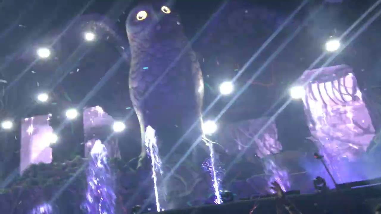 Tiesto at EDC Las Vegas 2014, Kinetic Field #tiesto #edclasvegas #kinetic field #plur 