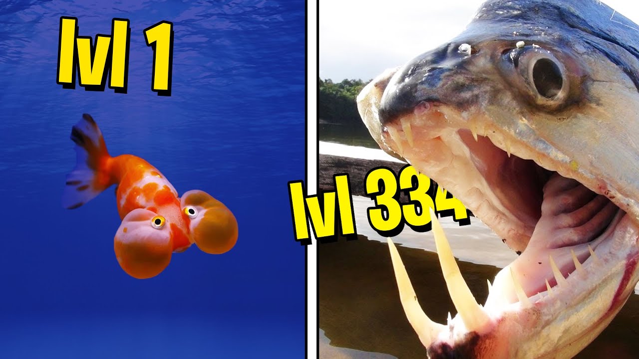 JSEM NEJMOCNĚJŠÍ RYBA V ŘECE! | Feed and Grow: Fish #2