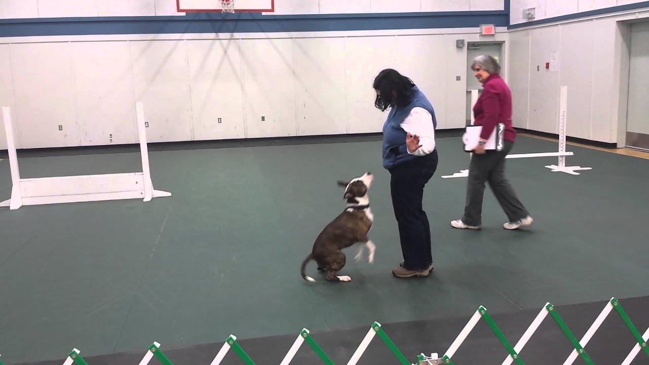 Directed Jumping