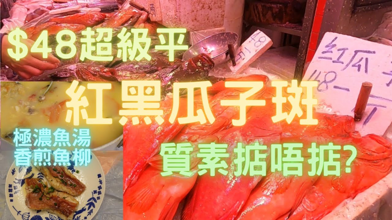 荃灣楊屋道,遇見超平紅黑瓜子😍真係煲湯都抵🤣一魚2味🤤再買左條牛屎鱲清蒸勁好食~fish cutting~香港海鮮~社長遊街市HongKong Seafood Market