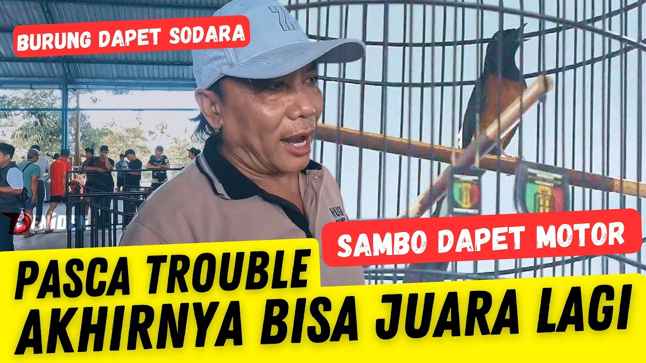 MURAI INI PERNAH BERMASALAH ‼️ KINI MURAI SAMBO DAPET MOTOR HONDA di 9th DRAGON SF