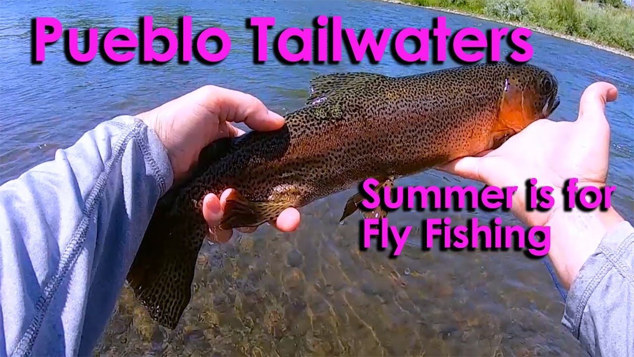 Summer Fly Fishing Pueblo Tailwater Arkansas River in Pueblo Colorado