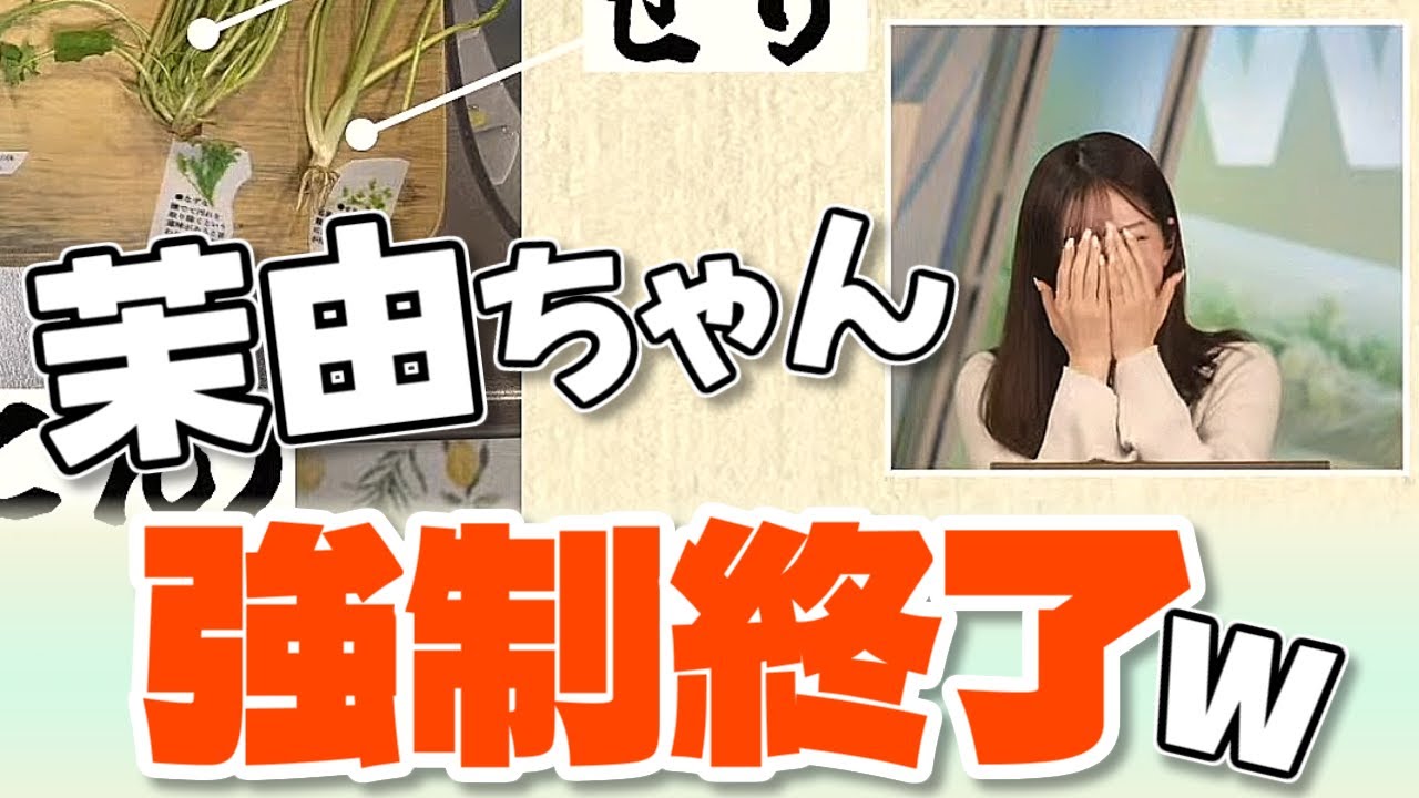 【