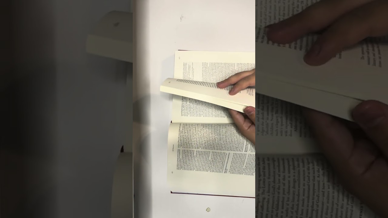 The Paulist Biblical Commentary