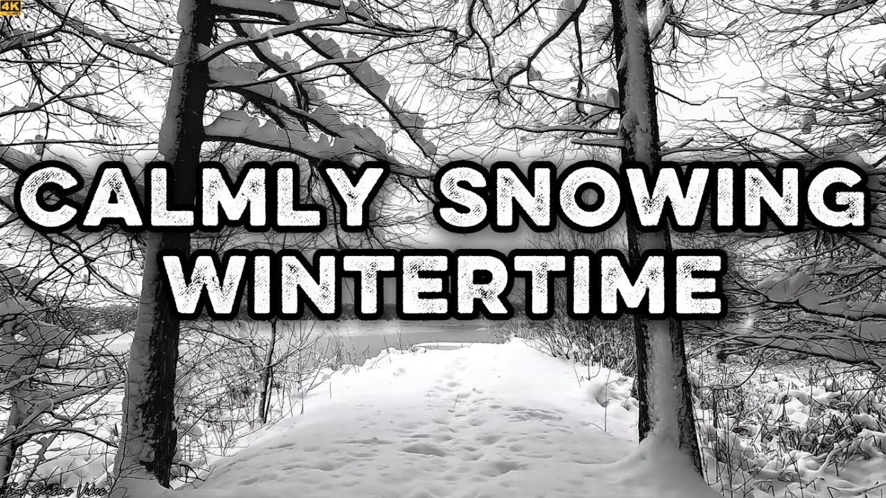 Calmly Snowing Wintertime | Relaxing Chillout Music to Escape City Noise & Embrace Nature's Love  ❄️