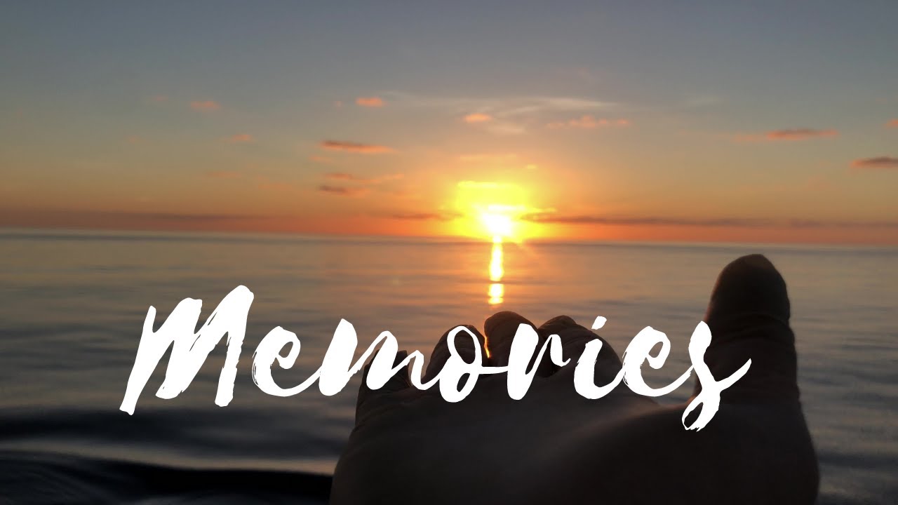 MY SHIP MEMORIES // SHIP PARTIES COMPILATION // HOW I SPENT MY TIME ONBOARD // LIFE OF A SAILOR