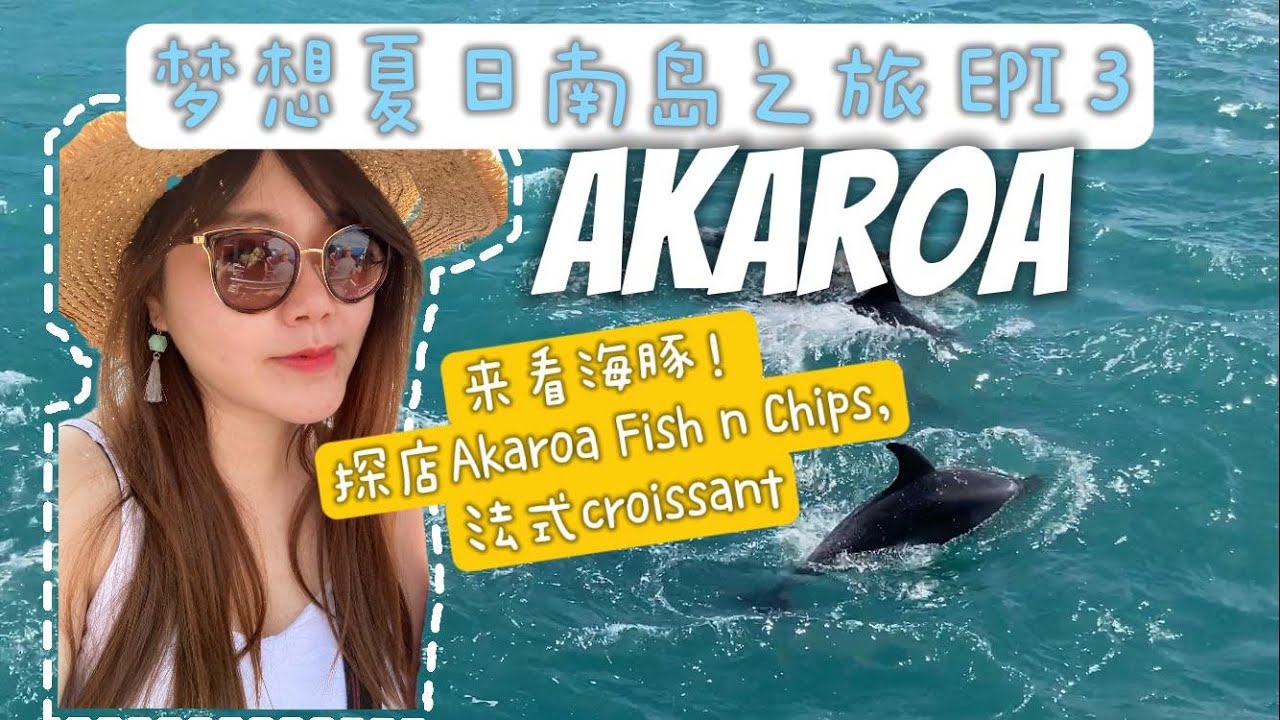 纽西兰法国城Akaroa l 人生第一次看海豚 l 探店Akaroa Fish n Chips l 尝尝正宗的法式croissant