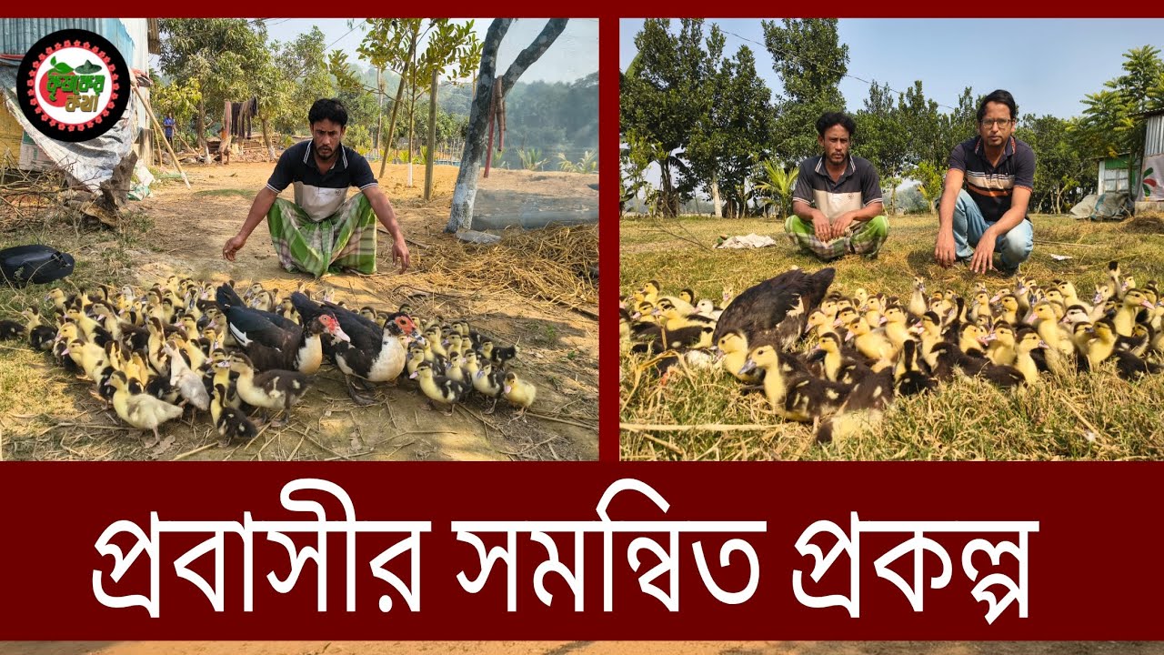 সমন্বিত কৃষি প্রকল্প