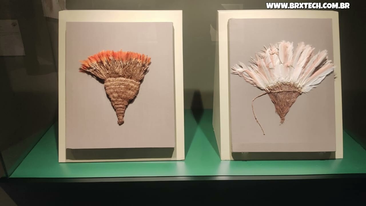 EXPOSIÇÃO - TESOUROS ANCESTRAIS DO PERU_ CULTURA TEC. BRXTEC BRASIL. WWW.BRXTECH.COM.BR