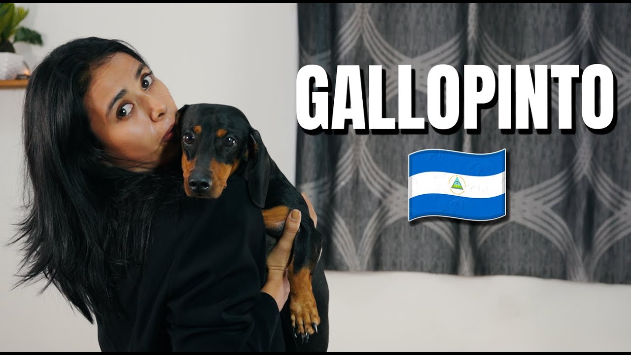 El gallo pinto es NICA 🇳🇮 - Episodio 6