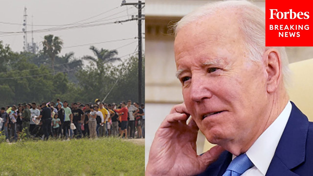 Expert Witness Calls Out Biden Admin For ‘Flagrantly Violating Immigration Laws’