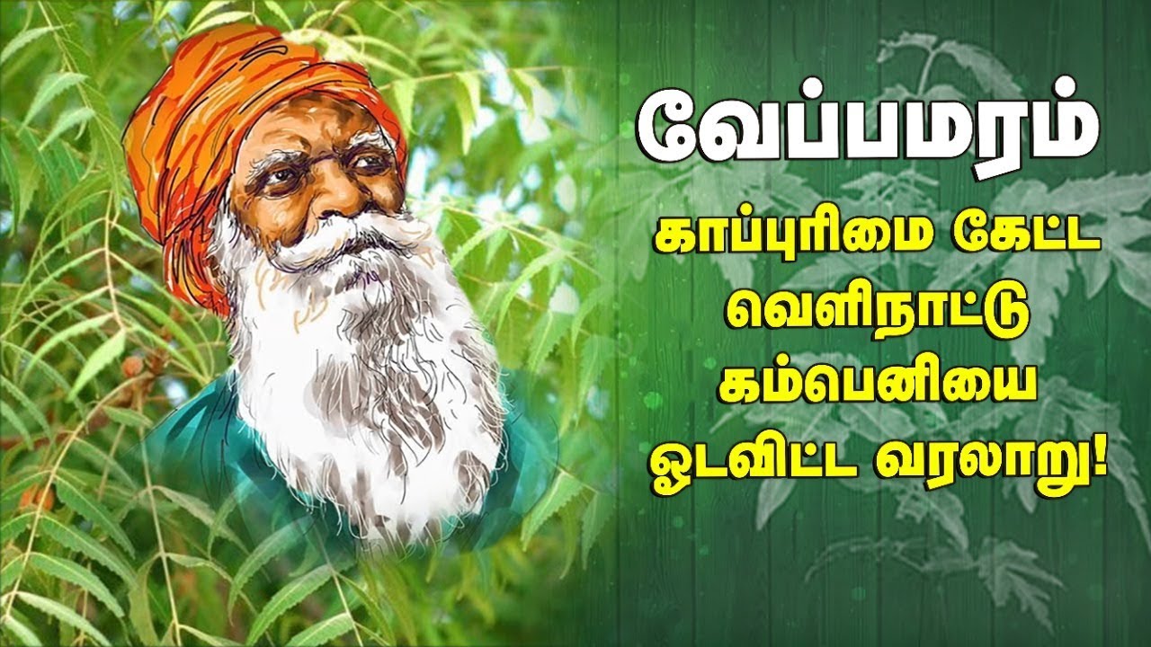 நம்மாழ்வார் பேச்சு | 'மீட்டெடுக்கப்பட்ட வேப்பமரத்தின் காப்புரிமை கதை' !