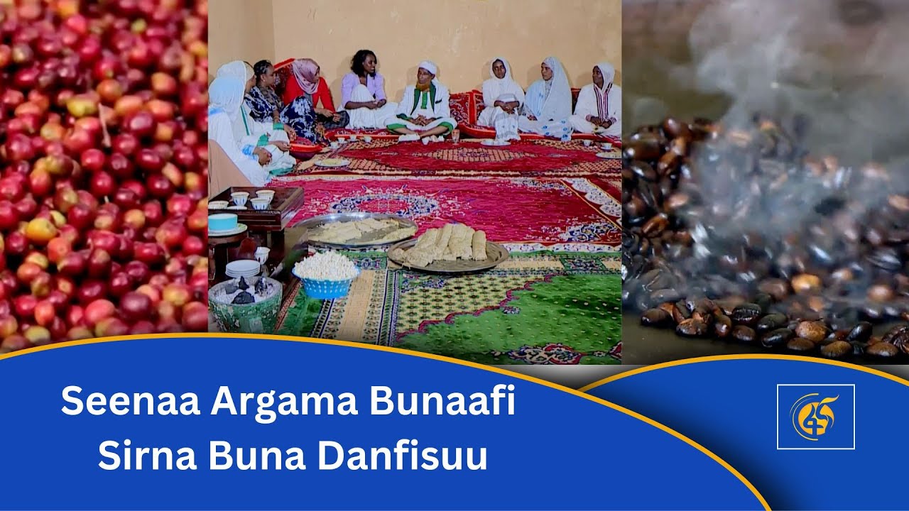 Seenaa Argama Bunaafi Sirna Buna Danfisuu