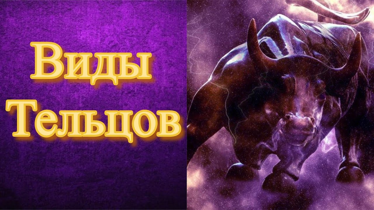 Тельцы-женщины (Лом-бабы, Домашние Сталины и Культурянки). Мужчины (Сладкоежки и Кухонные Рэмбо)