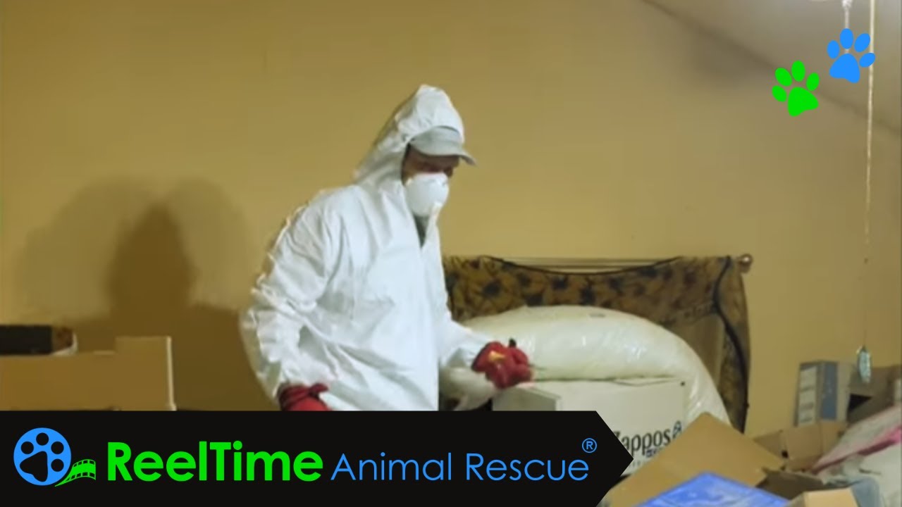 Worst Bird Hoarding Rescue Ever! | Ruffled Feathers Parrot Sanctuary | Brad Harmon