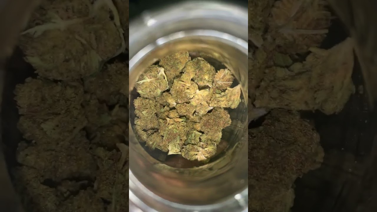 Pack from eight horses hemp from 420 strand kosher kush #eighthorseshemp