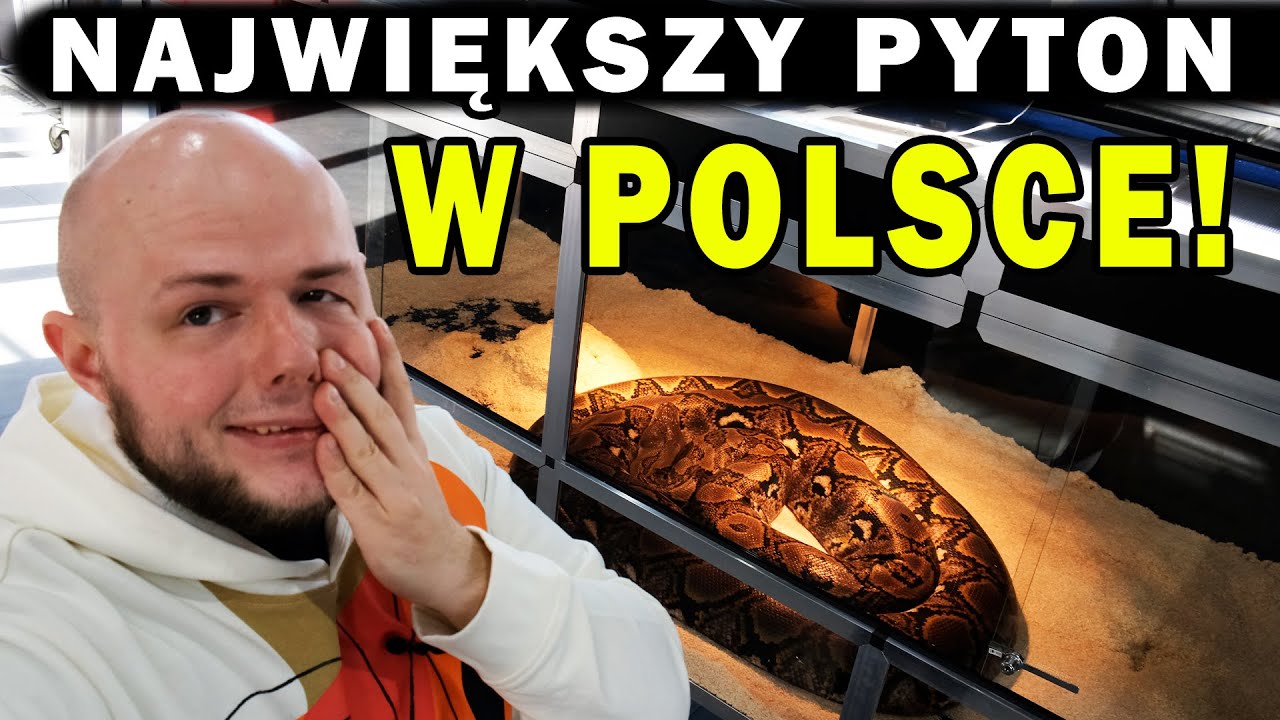 NIESAMOWITE ZWIERZĘTA na GIEŁDZIE TERRARYSTYCZNEJ w POZNANIU!
