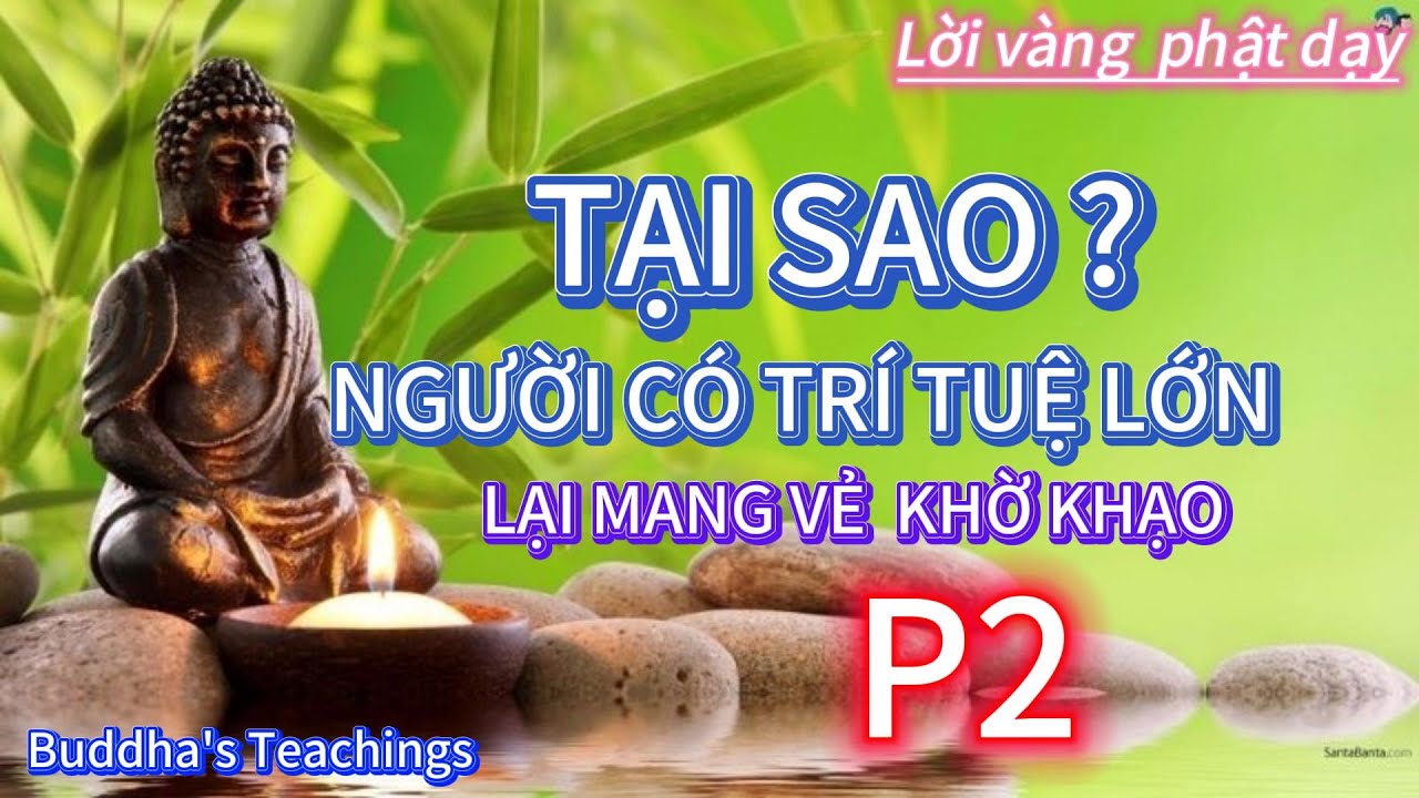 Lời phật dạy  - TẠI SAO NGƯỜI CÓ TRÍ TUỆ LỚN LẠI MANG VẺ KHỜ KHẠO (P2)