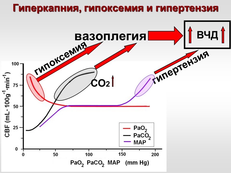 ИВЛ в Нейрореанимации (1 МСН) Горячев А.С.