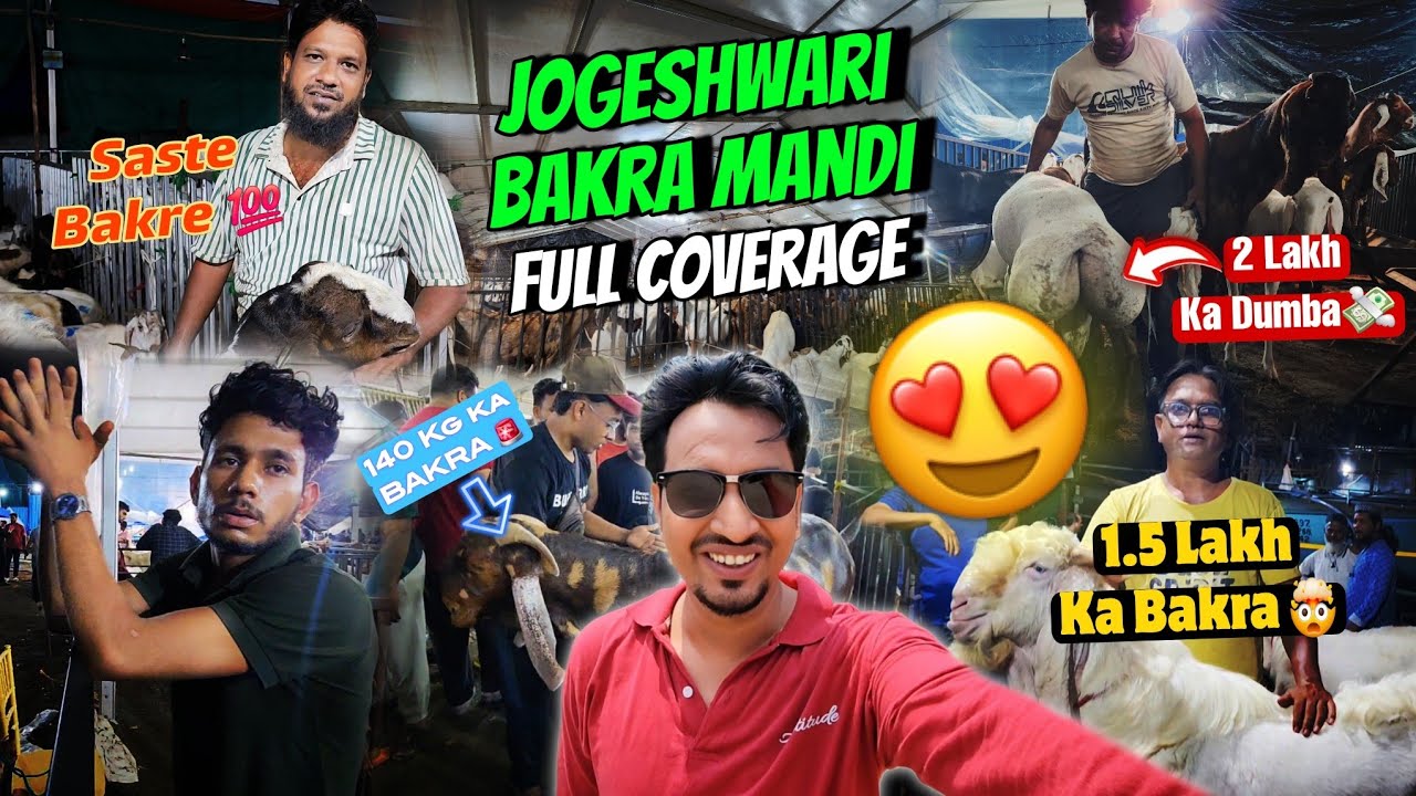 Jogeshwari Bakra Mandi 2025 | Latest Bakra Prices & Full Mandi Tour 🐐