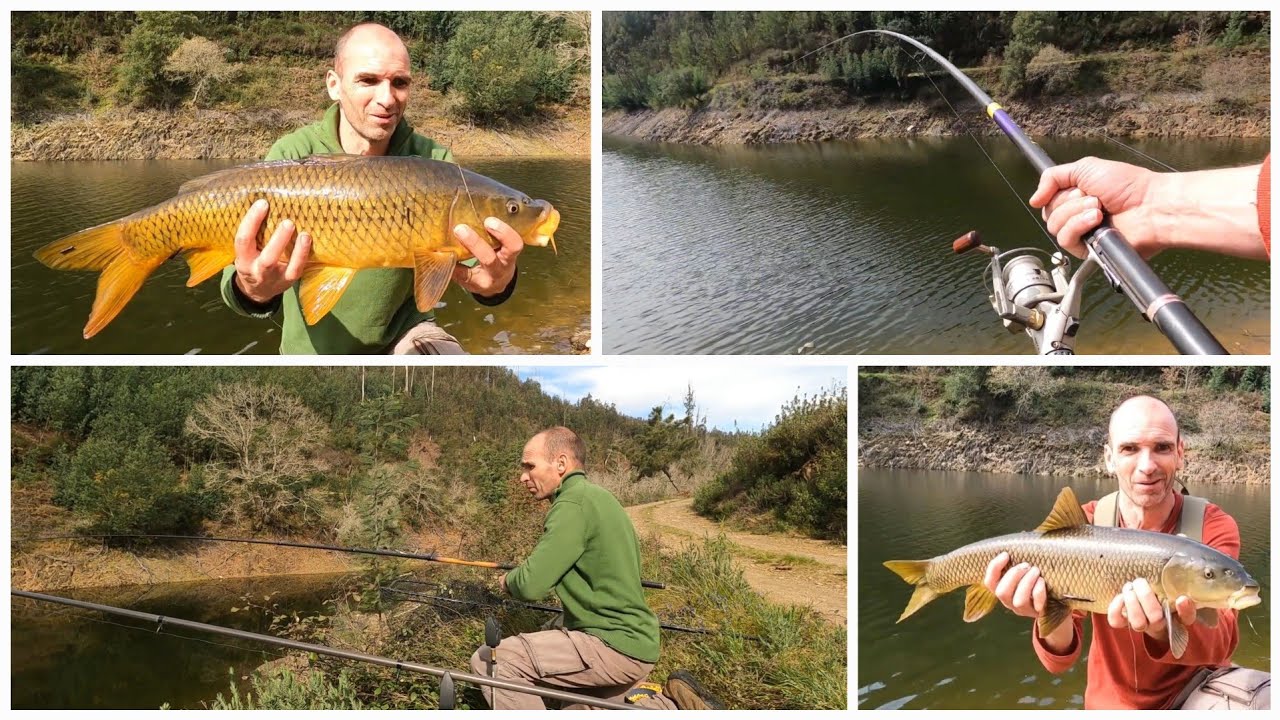Carp fishing à kamikaze !