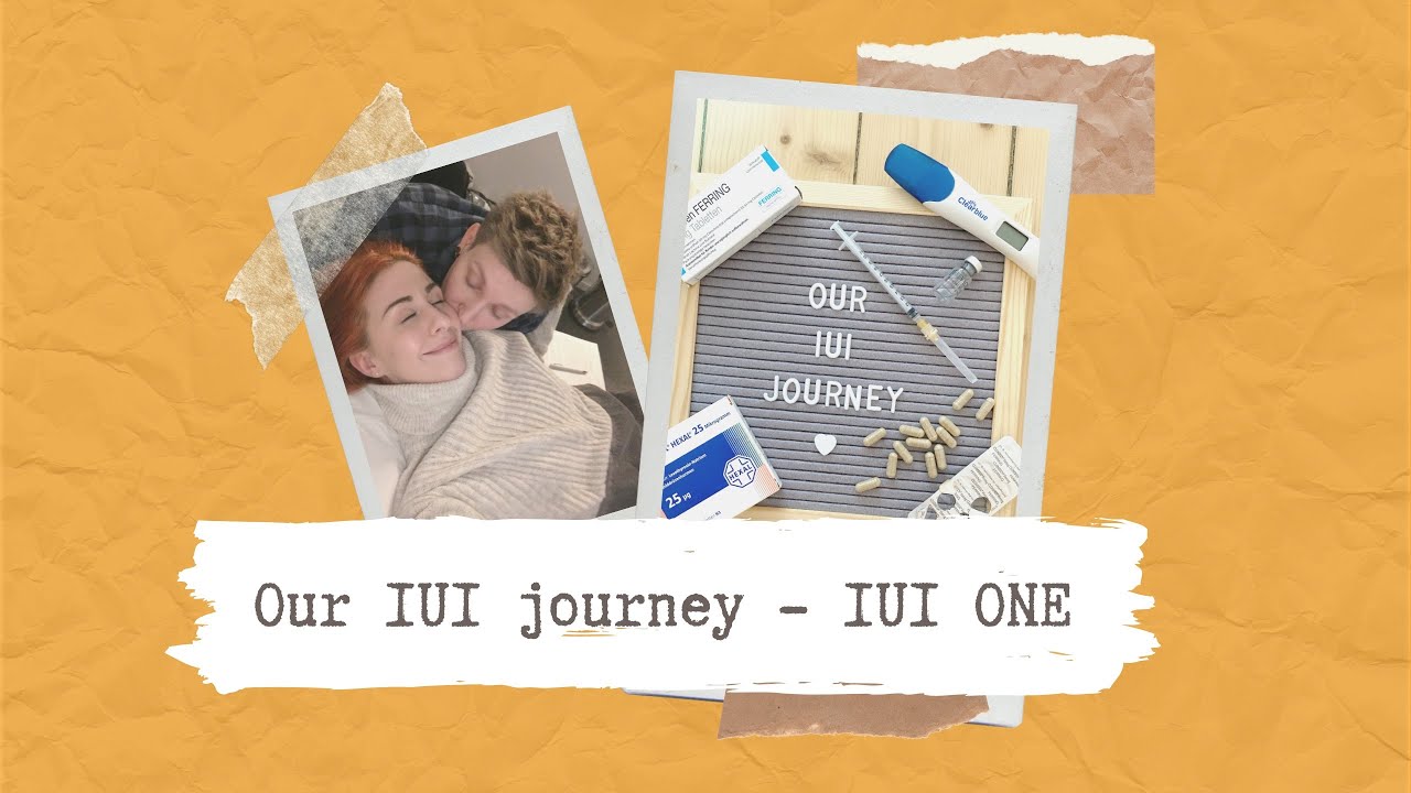 Our IUI Journey | IUI ONE | LESBIAN Couple TTC | The Schoenberg Family