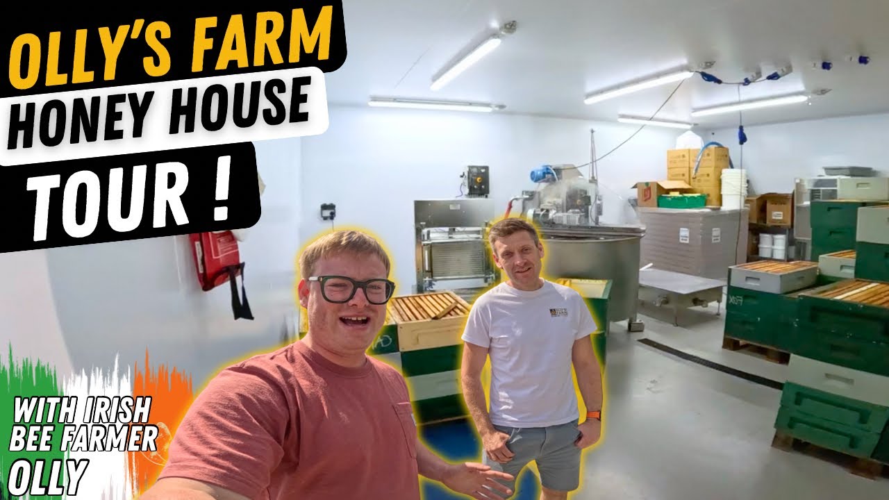 Один человек, сотни ульев: ирландский медовый дом собирает вереск и полевые цветы с помощью техно...