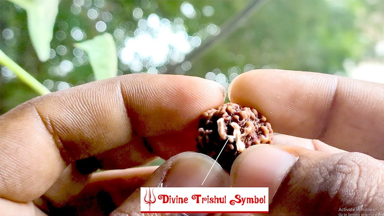 Nirankar Omkar Shiva Trishul Divine Symbol Supreme Brahma Parabrahman Nepal Rudraksha | Buy Now.