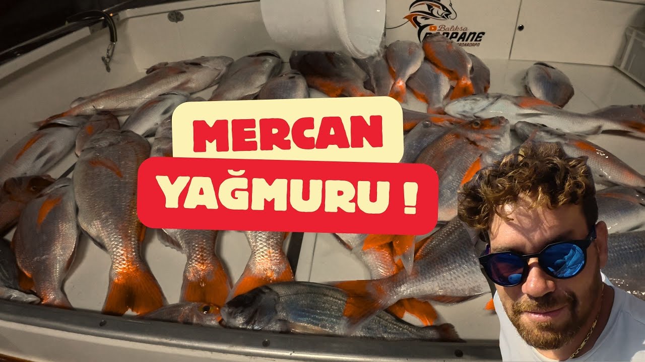 KİLOLARCA MERCAN AVI ! | MERCANA DOYACAKSINIZ !