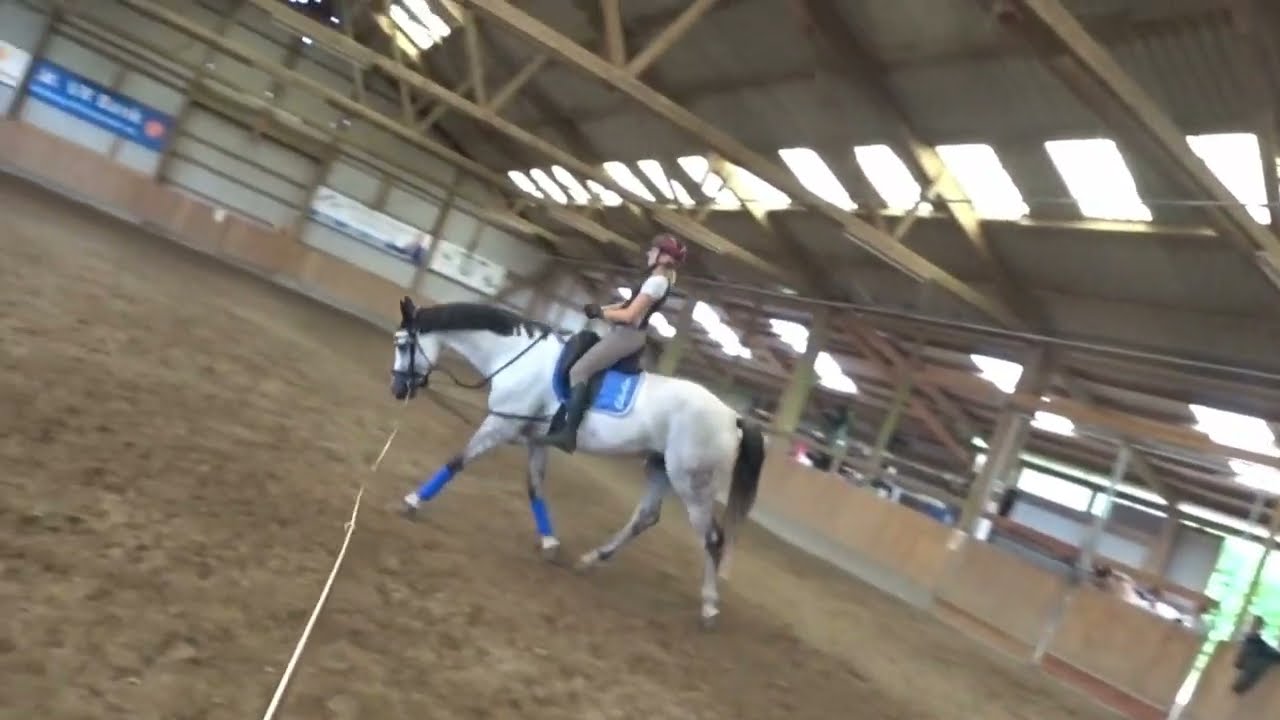 Sitzschulung beim reiten im Schritt, Trab und Galopp