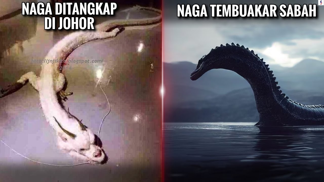 5 PERISTIWA MEMBUKTIKAN KEWUJUDAN NAGA DI MALAYSIA (2024)
