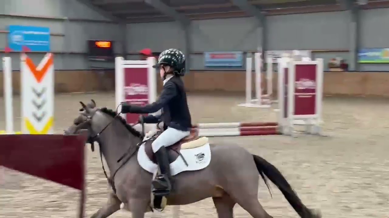 PN-horses: 7 yo Spirit, ridden by Cloé van Veenendaal 2nd price at show