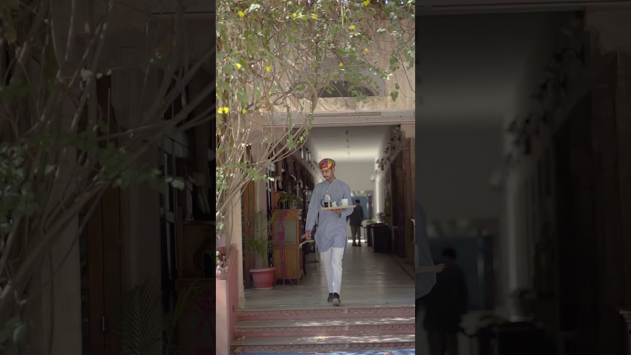 Solo Travel at Diggi Palace #jaipur #shortvideo