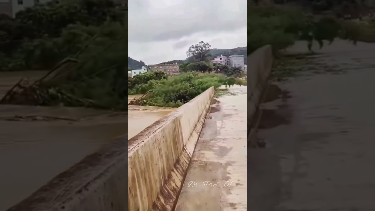 🌊 Massive Flood Carries Giant Tree Into Bridge | Dramatic River Flood Footage