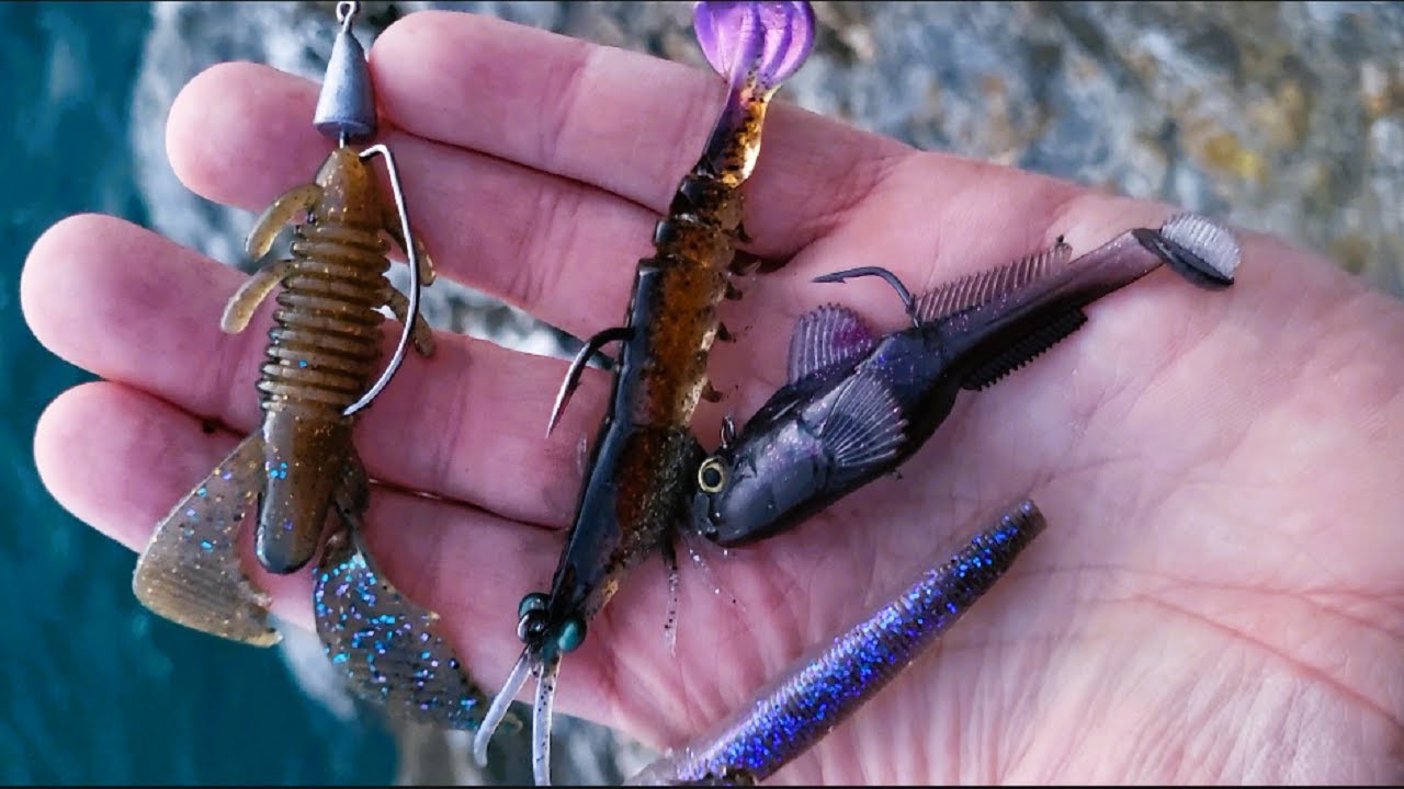 Mes nouveaux leurres cartonnent ! Pêche en mer du bord
