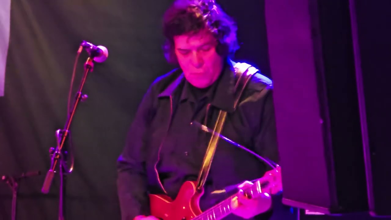 Kid Congo and the Pink Monkeybirds