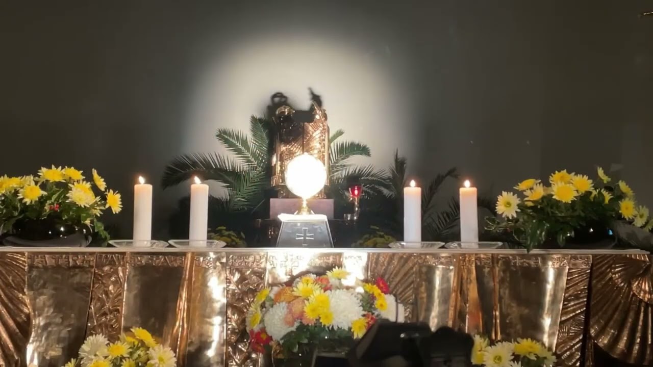 SBMka/ Jesu adoramus Te