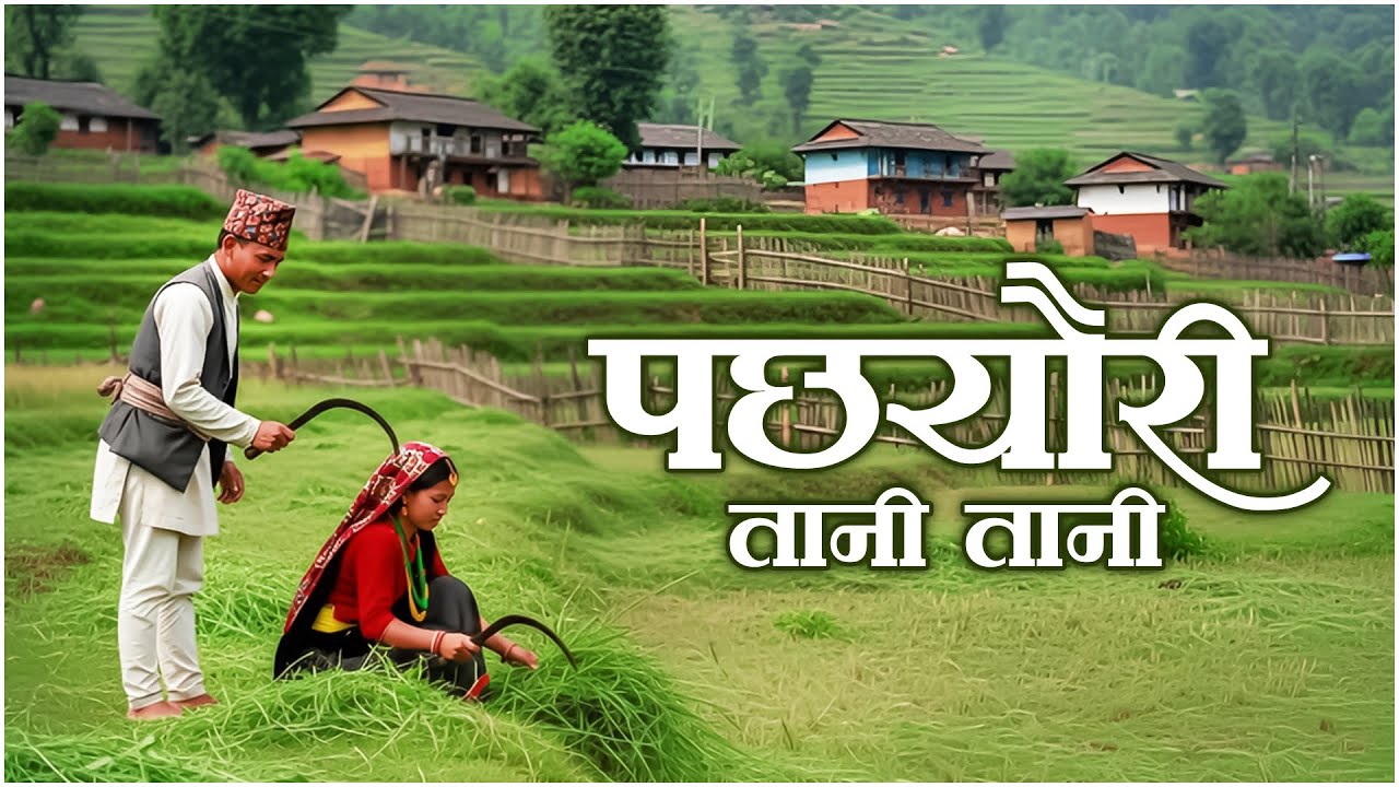 New Nepali Music Video 2026 | पछेउरी तानी तानी  | Pachheuri Taani Taani  | Sadhana Musical