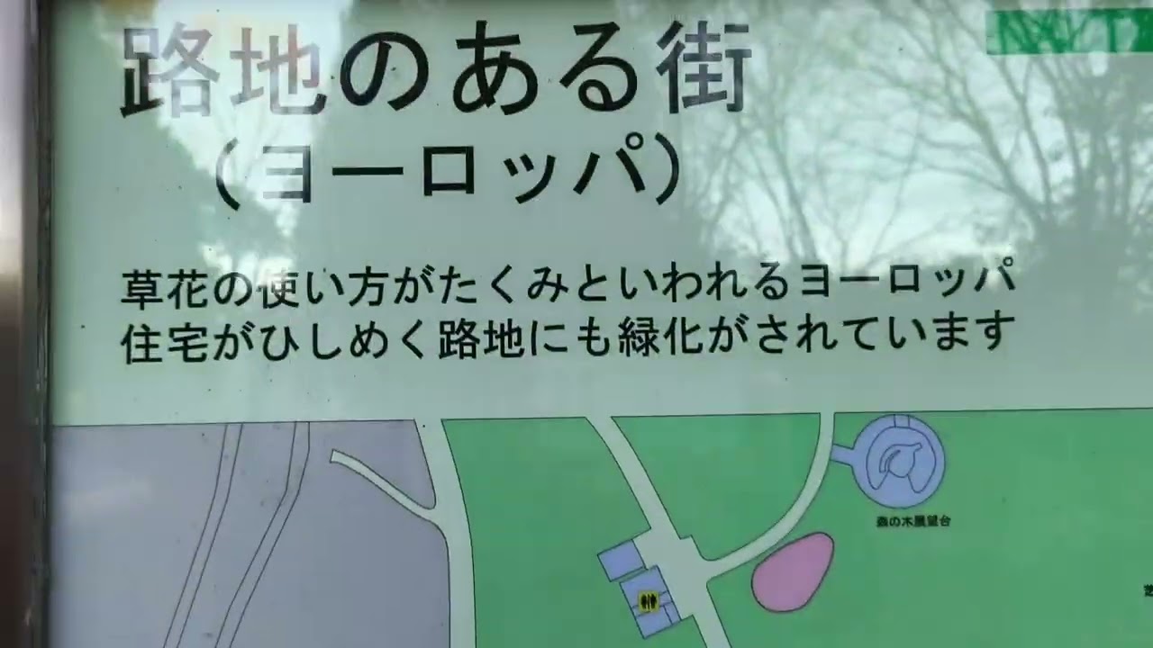1月12日 成人の日です