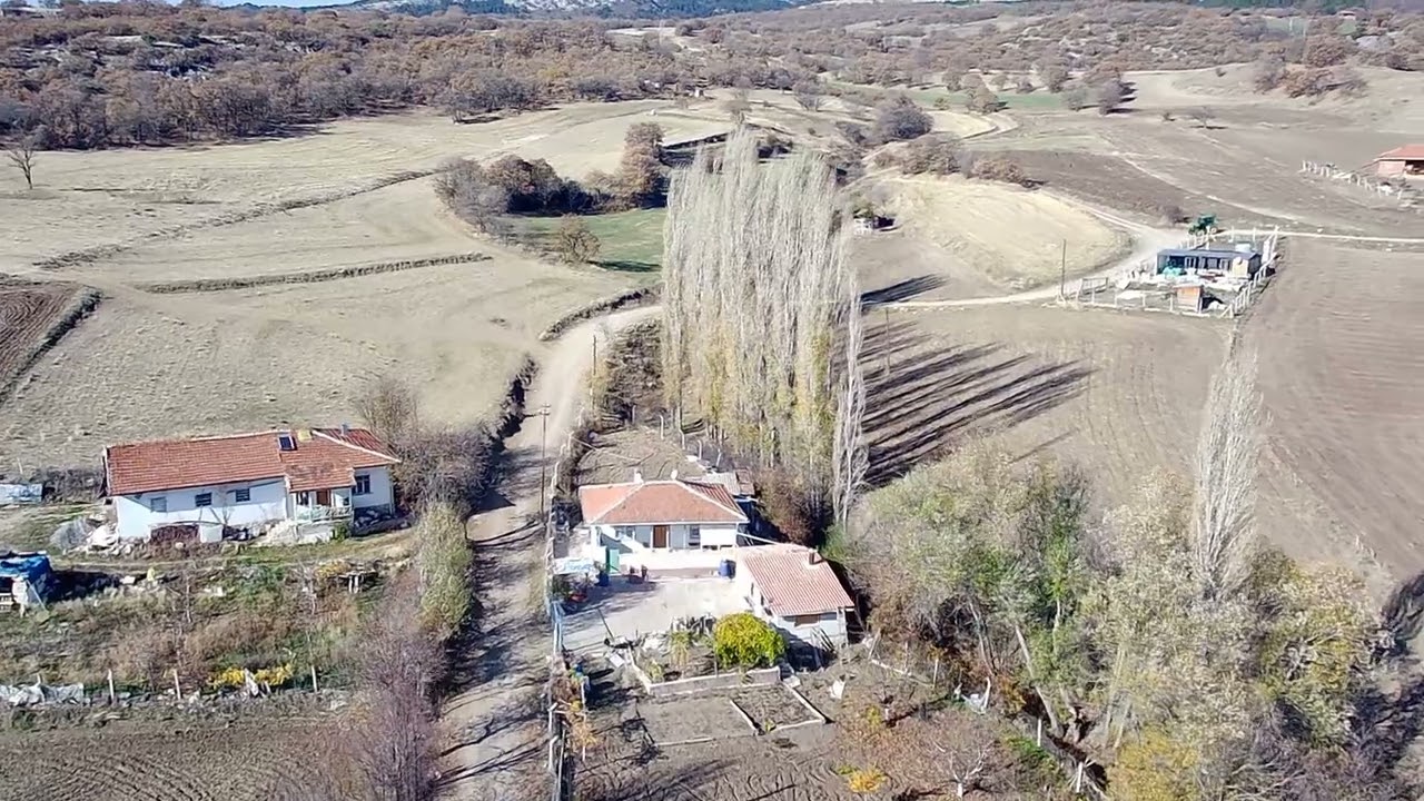 1) Feruz Köyü, Çorum, 2025,  Rafet-Naci GÜCCAN