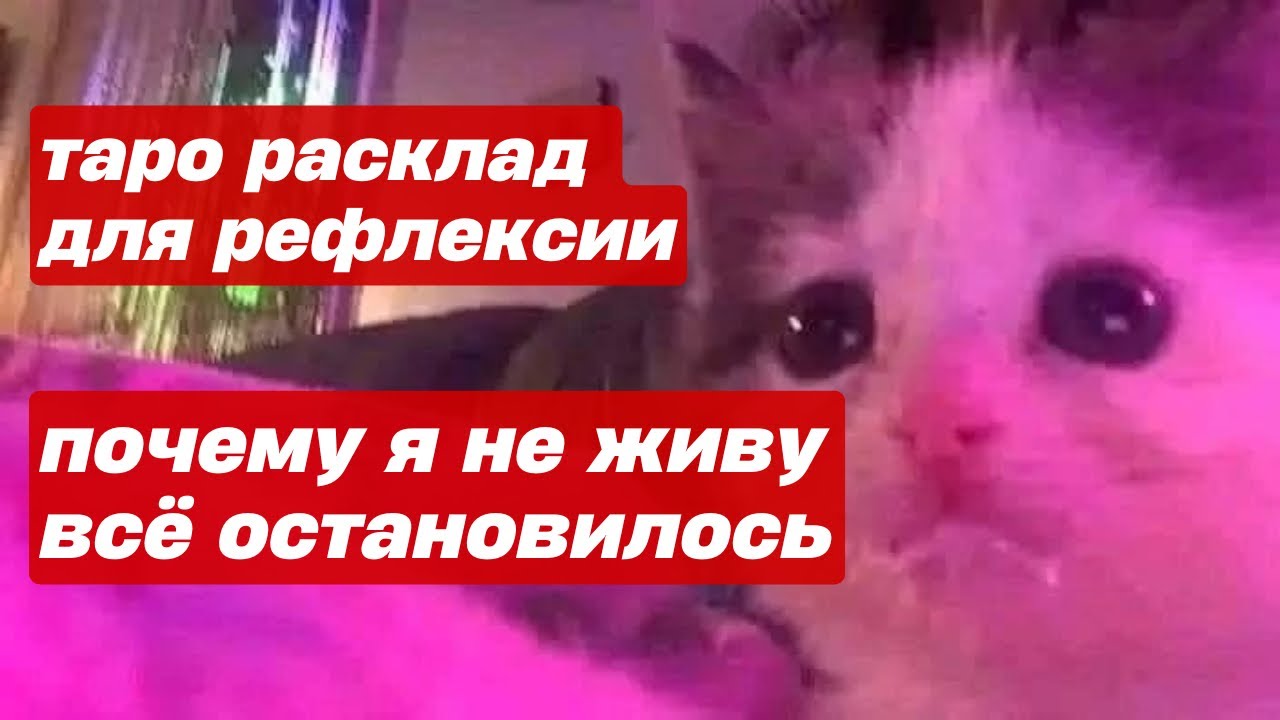 Почему есть ощущение, что я не живу. Жизнь проходит мимо. Таро расклад