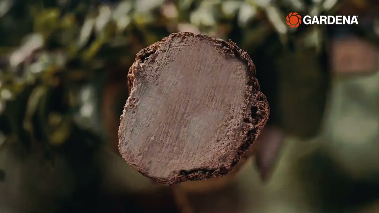 Forbici a batteria Gardena AssistCut: presentazione