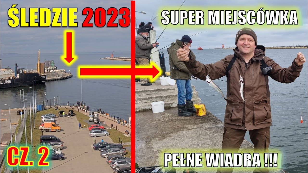 Śledzie 2023 cz. 2.  FALOCHRON ZACHODNI .Gdańsk  Nowy Port. PEŁNE WIADRA !!!