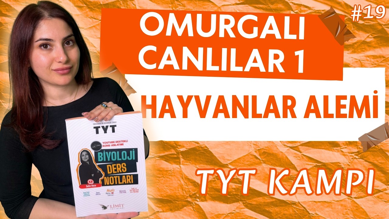 19) TYT 2026 BİYOLOJİ - OMURGALILAR 1 - HAYVANLAR ALEMİ - ADIM ADIM ZİRVEYE