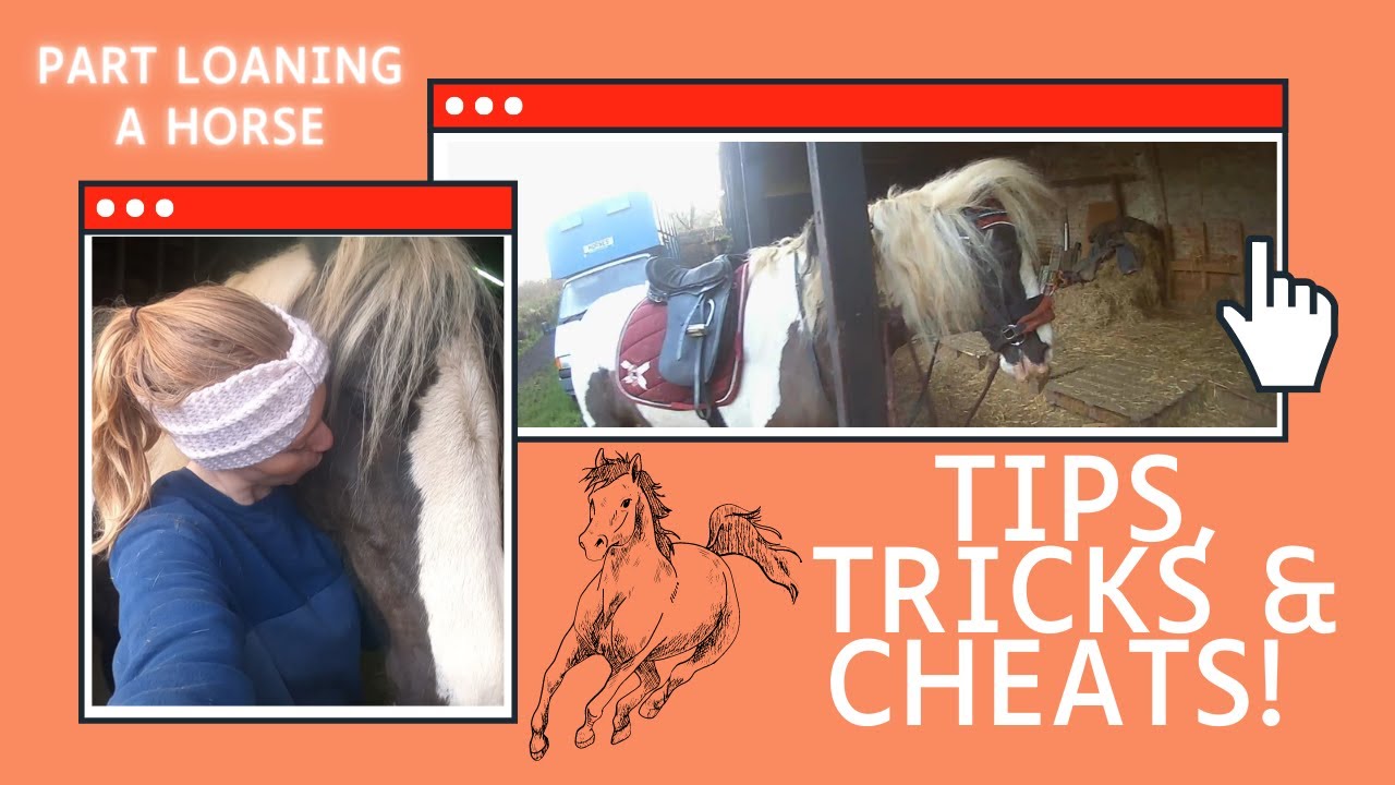 Part Loaning A Horse Tips & Tricks - Everything you need to know! | UK Equestrian Vlogger