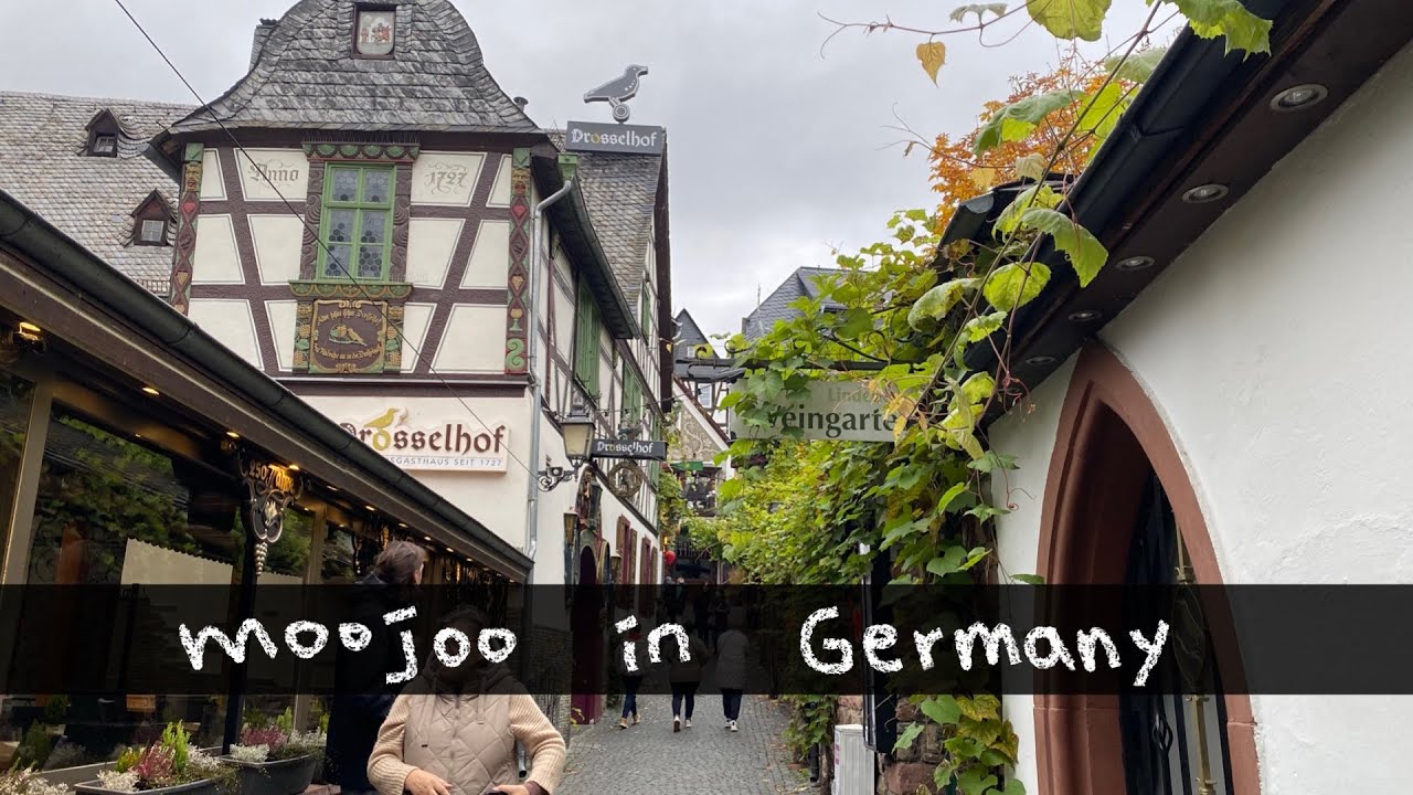 [독일한달살기🇩🇪] | 독일소도시여행 Vlog | 뤼데스하임둘러보기, 포도밭, 드로셀거리, 케테볼파르트, 오너먼트사기, 리슬링맛보기