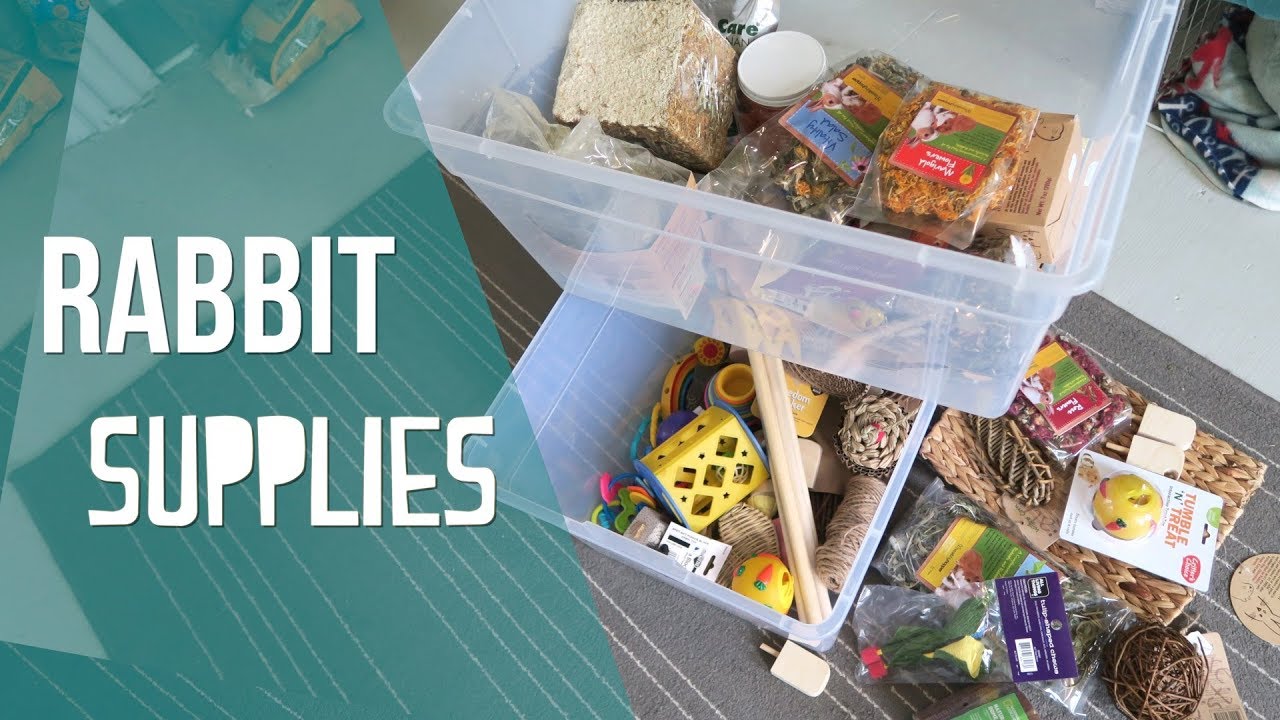 Organizing My Rabbit Supplies